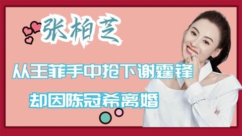 柏芝被虐片全图_柏芝为什么被虐_张柏芝为什么离婚