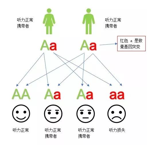 人工耳蜗医院0爱耳时代官网_人工耳蜗哪个较好咨询0爱耳时代_人工耳蜗救助0爱耳时代官网