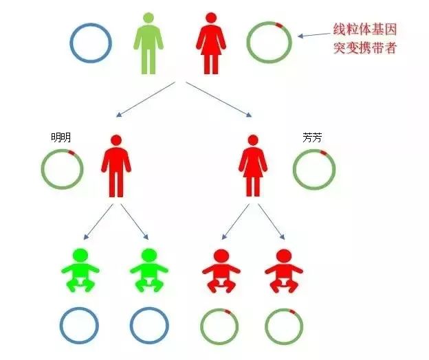 人工耳蜗医院0爱耳时代官网_人工耳蜗哪个较好咨询0爱耳时代_人工耳蜗救助0爱耳时代官网