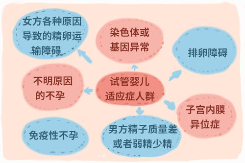 成都试管医院_成都哪家医院试管成功率高_广东可做试管婴儿的医院