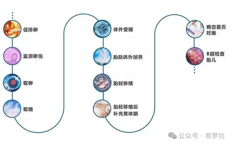 泰国试管多少泰铢_泰国试管价格高吗_泰国试管亲身经历