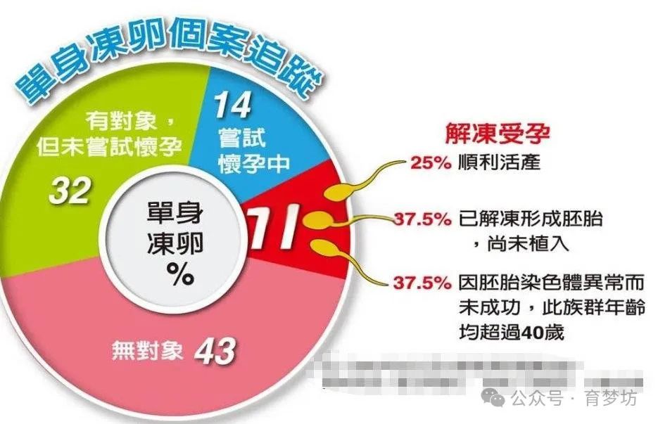 泰国试管亲身经历_泰国试管多少泰铢_泰国试管价格高吗