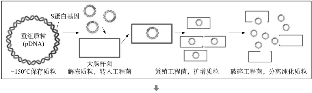 石家庄细胞干家公司有多少员工_石家庄有几家干细胞公司_石家庄细胞干家公司有哪些