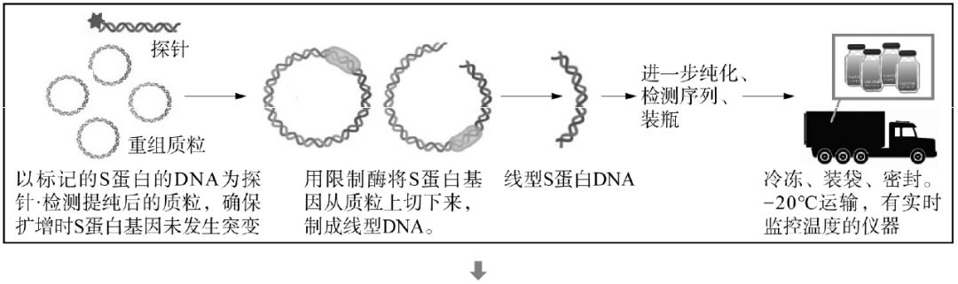 石家庄有几家干细胞公司_石家庄细胞干家公司有多少员工_石家庄细胞干家公司有哪些