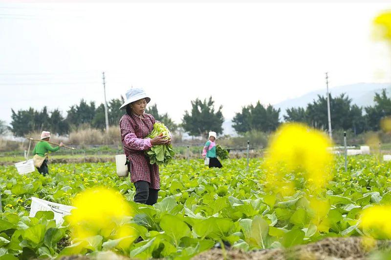 1000平方米有多大_一千平方多大_举例说明1000平方米有多大