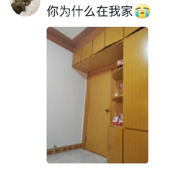 什么是清漆_清漆是透明的吗_清漆是水性漆还是油性漆