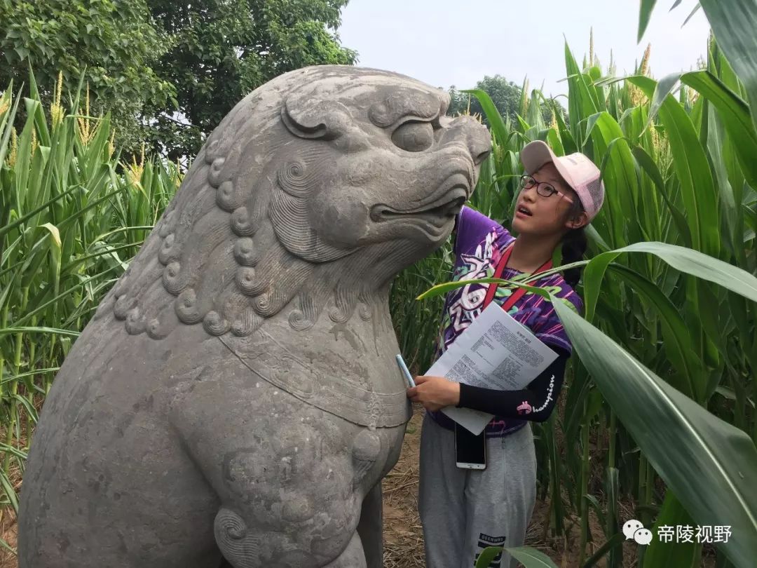 陵怎么读_陵读什么字_陵读音组词