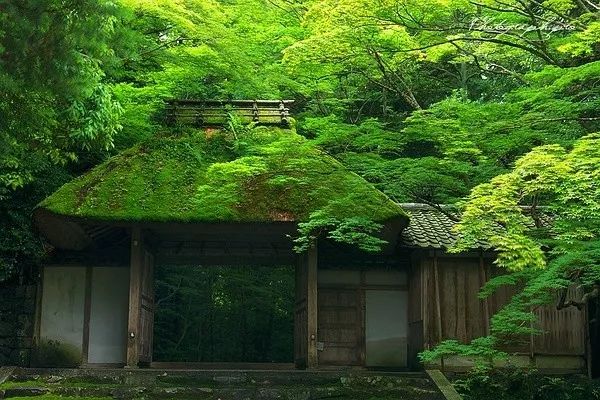 寂空涅槃_寂空法师简介_空寂