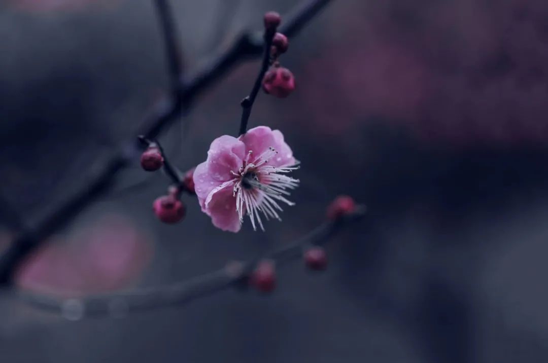 暮年是什么意思_暮年是多大年纪_暮年