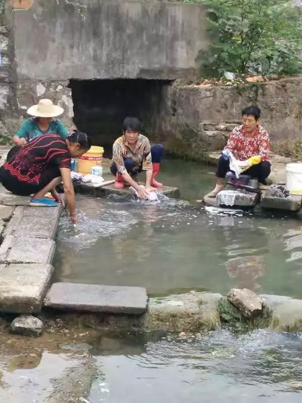 垄_辍耕之垄上的垄读音_邱林垄