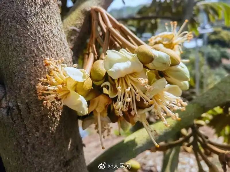 臣妾做不到啊_臣妾做不到啊表情_臣妾做不到啊图片