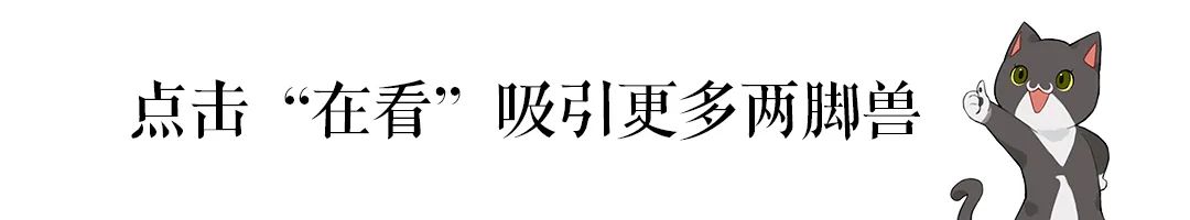 屋哥亮_哥屋恩_屋哥谐音