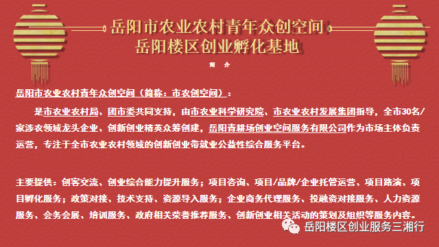 岳阳市人力资源部官网_岳阳市人力资源局_岳阳市人力资源