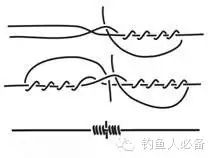 结实的肉怎么减肥_结实_牛皮结实还是马皮结实