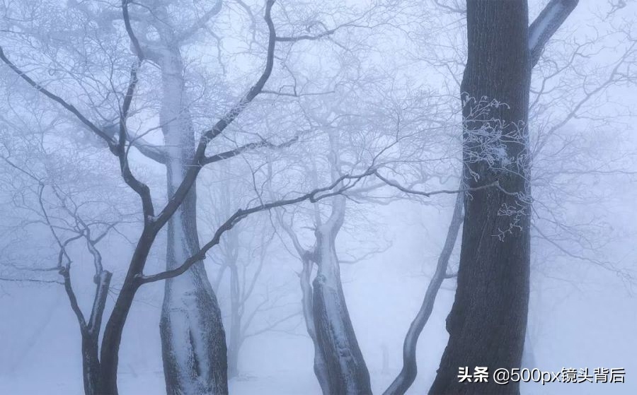 500px摄影师·刘白YantingLiu：“弃商从影”，发现更真实的自己