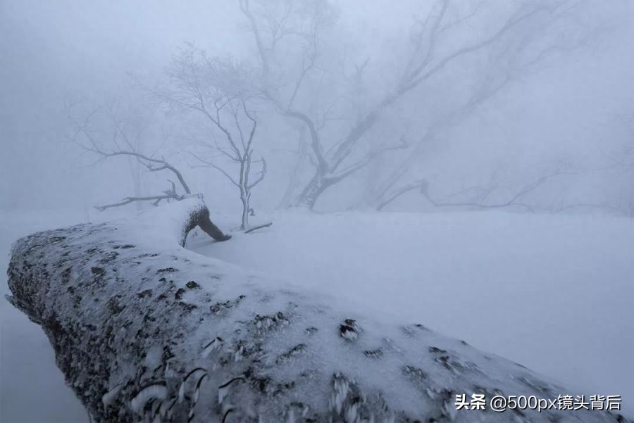 500px摄影师·刘白YantingLiu：“弃商从影”，发现更真实的自己