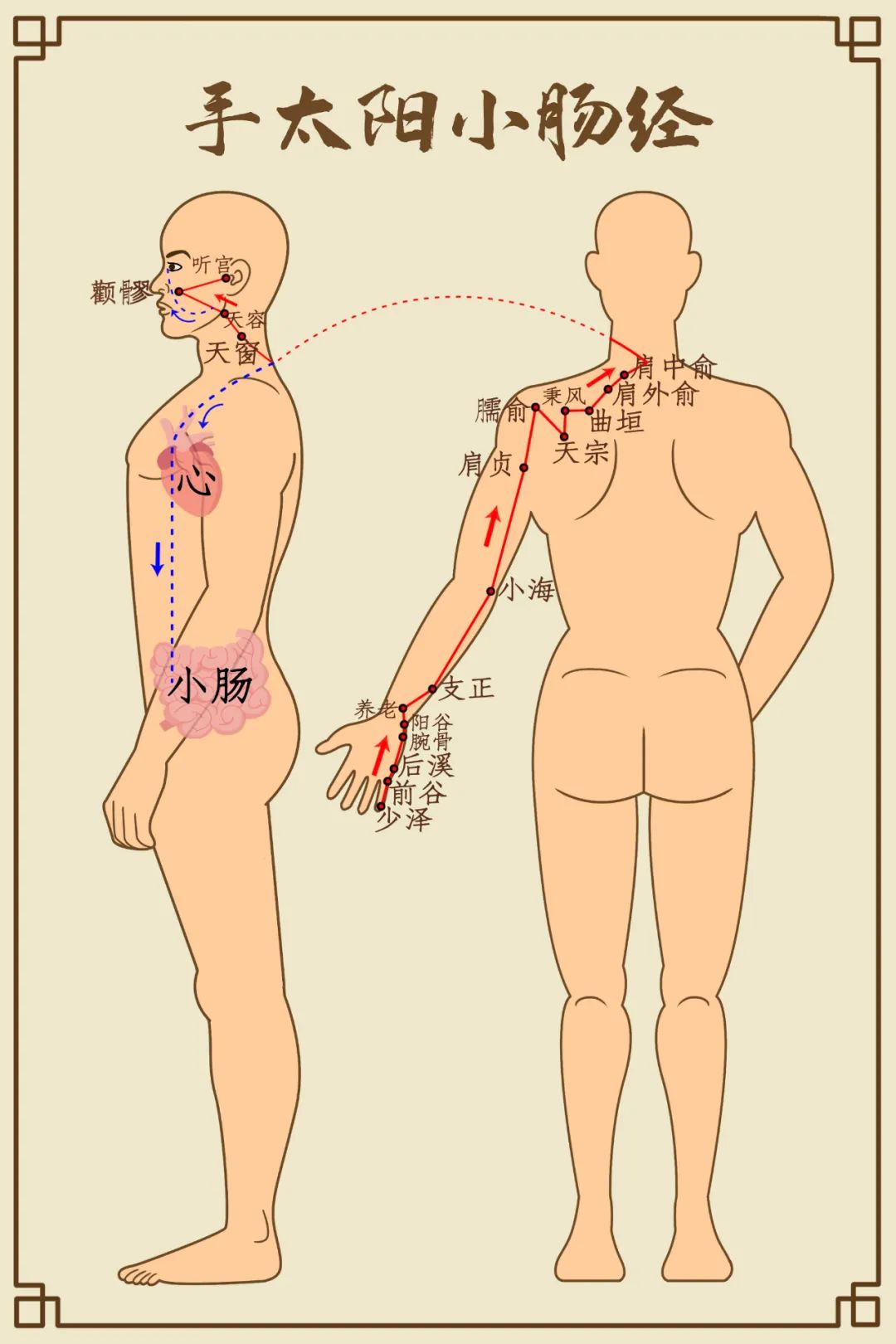 抵掌谈语是什么意思_抵掌而谈的意思_抵掌