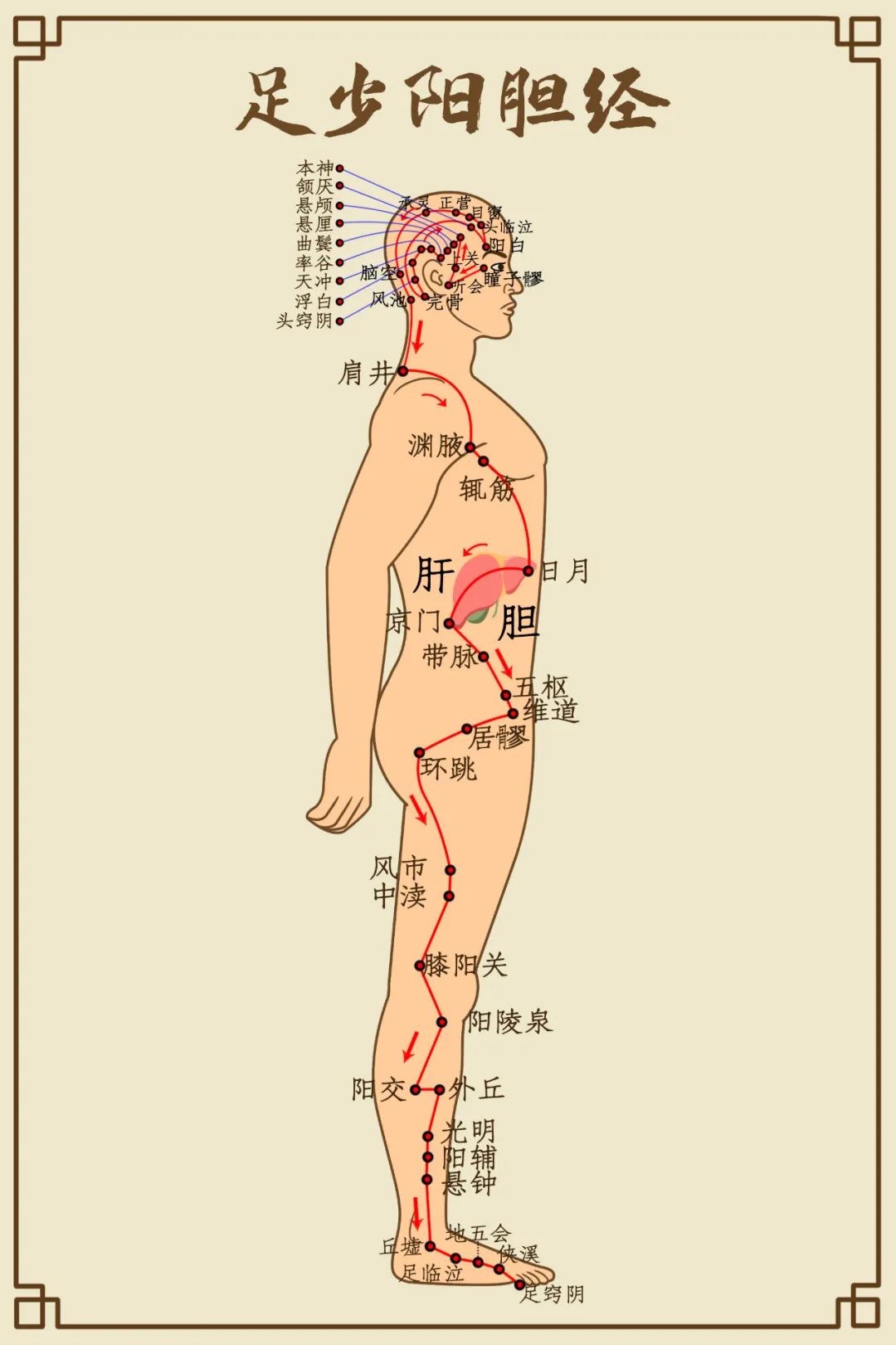 抵掌而谈的意思_抵掌_抵掌谈语是什么意思