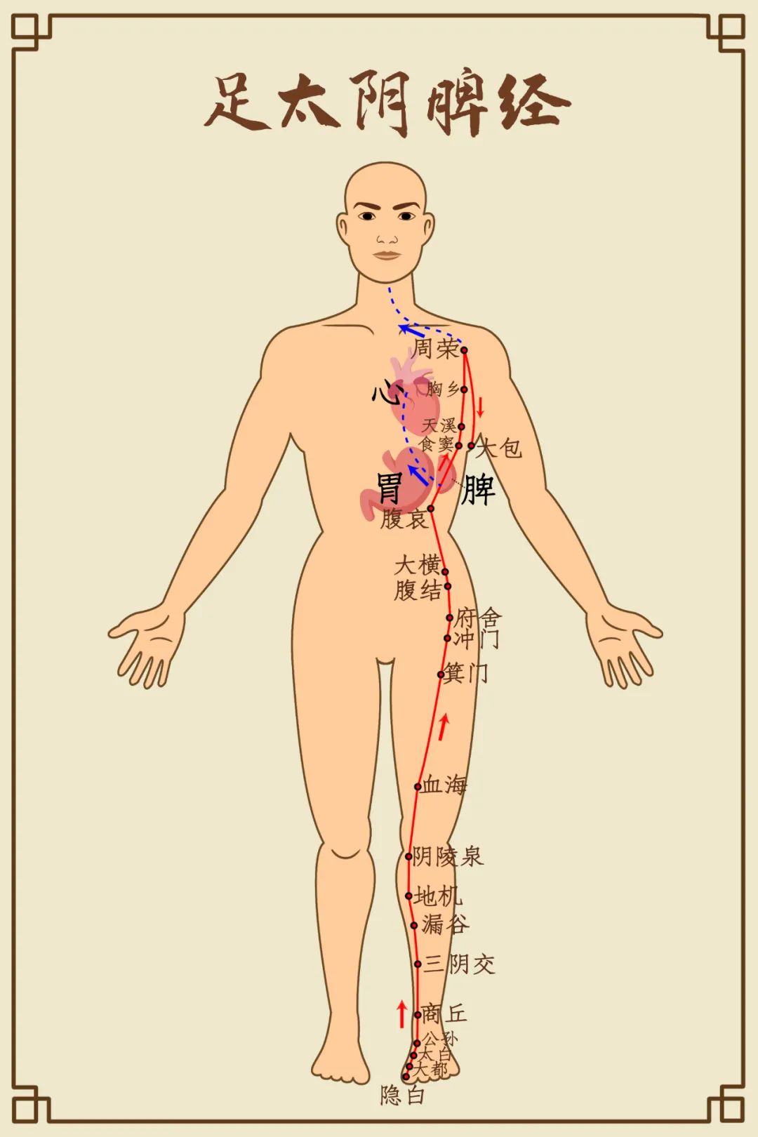 抵掌谈语是什么意思_抵掌而谈的意思_抵掌