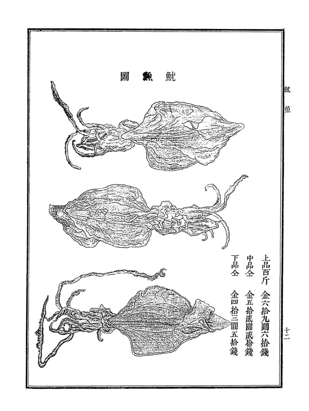 黄鱼鲞烧肉_鲞_黄鱼鲞去咸