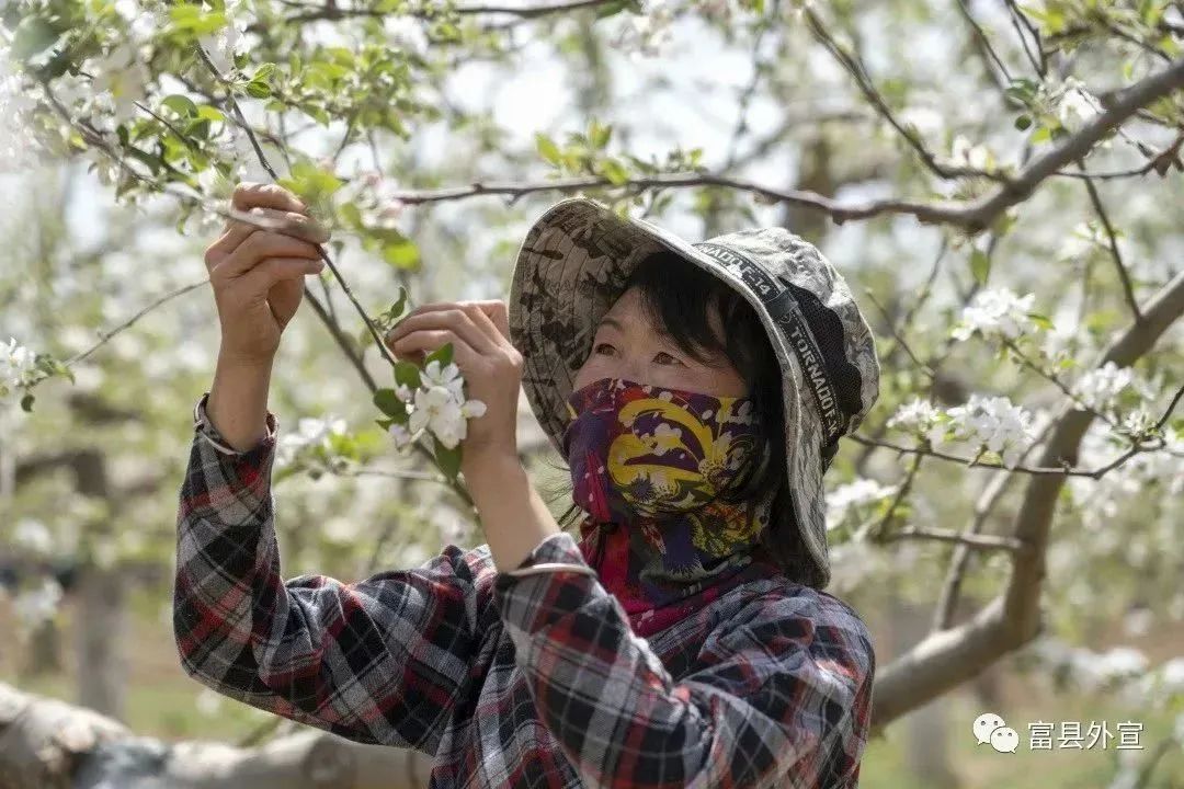 鄜_鄜州的拼音_鄜州怎么读