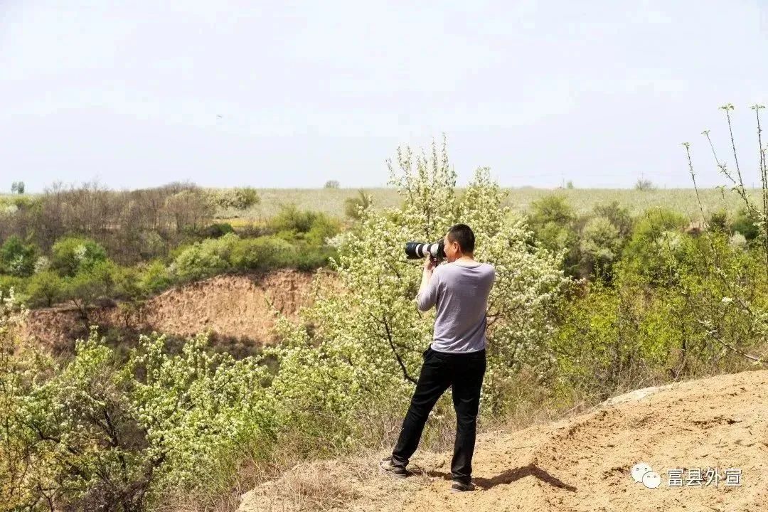 鄜州的拼音_鄜州怎么读_鄜