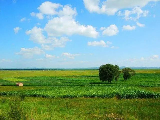 寓情于景_寓情于景_寓情于景