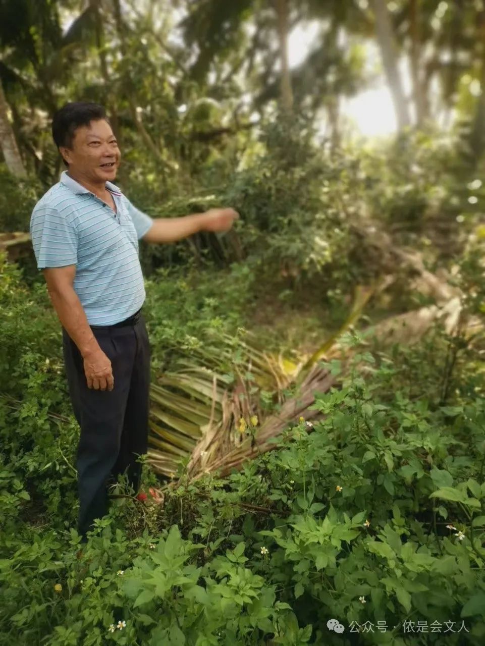 圮_圮怎么读_圮是什么意思