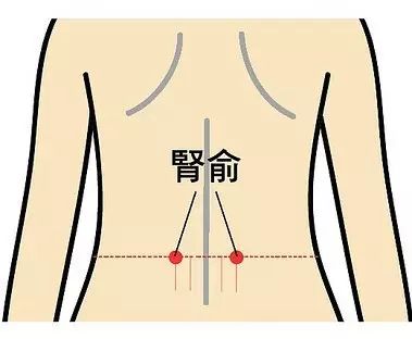 拥毳衣炉火的毳衣_毳饭_毳