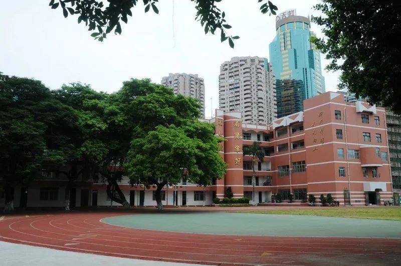 厦门小学排名_厦门小学排名_厦门排名小学有哪几所