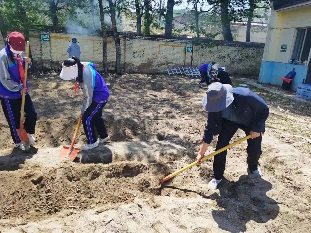 沈那中学数学老师_沈那中学_沈那中学校长