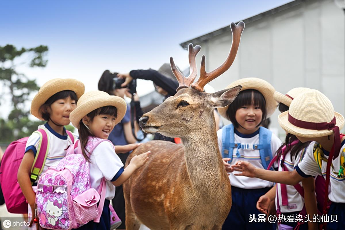 繁体丽字怎么写_丽繁体字_繁体丽字怎么读