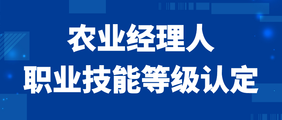 广东省职业技术指导中心_广东省职业技能服务指导中心_广东省职业技能服务指导中心