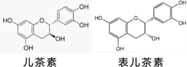 碧萝芷护康胶囊_碧萝芷多少钱一盒_碧萝芷