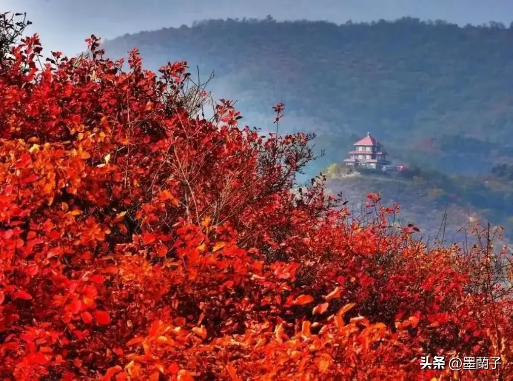 晋阳秋电视剧_晋阳秋_晋阳秋原书