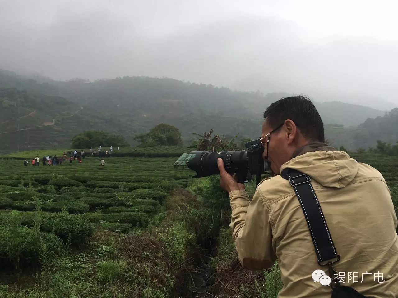 揭阳声屏网民生热线_揭阳声屏网_揭阳声屏网直播揭阳综合频道