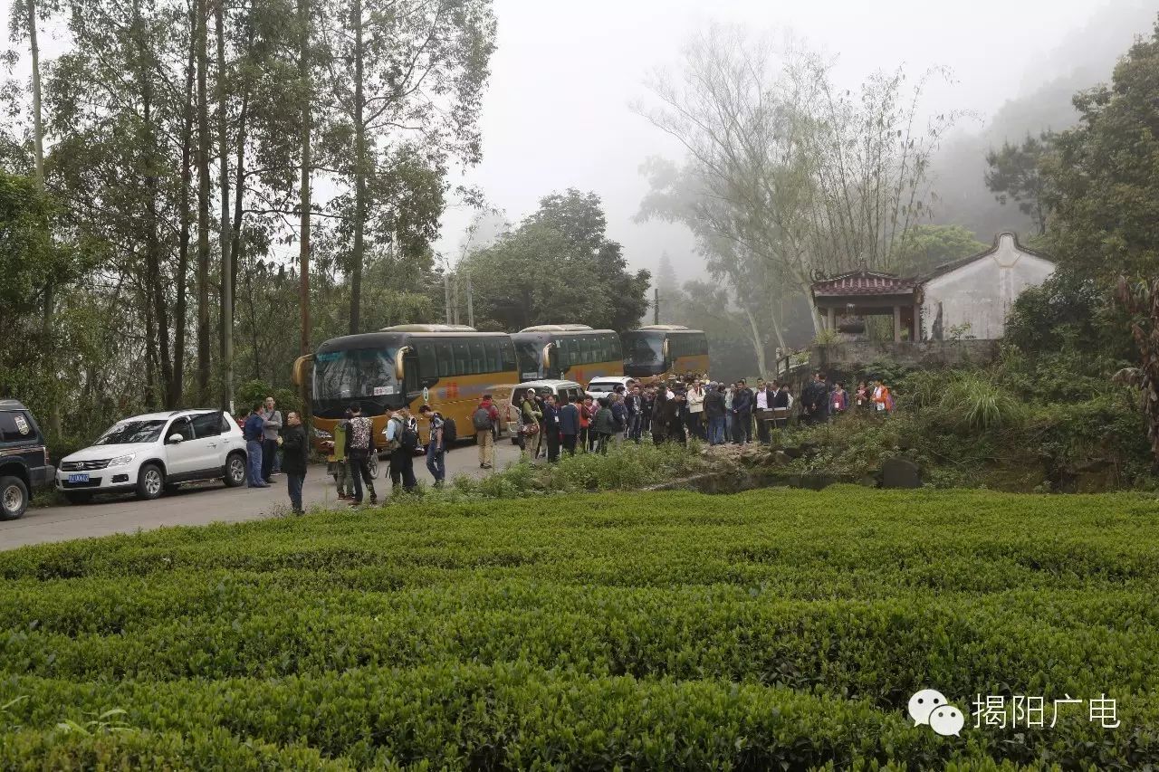 揭阳声屏网民生热线_揭阳声屏网_揭阳声屏网直播揭阳综合频道