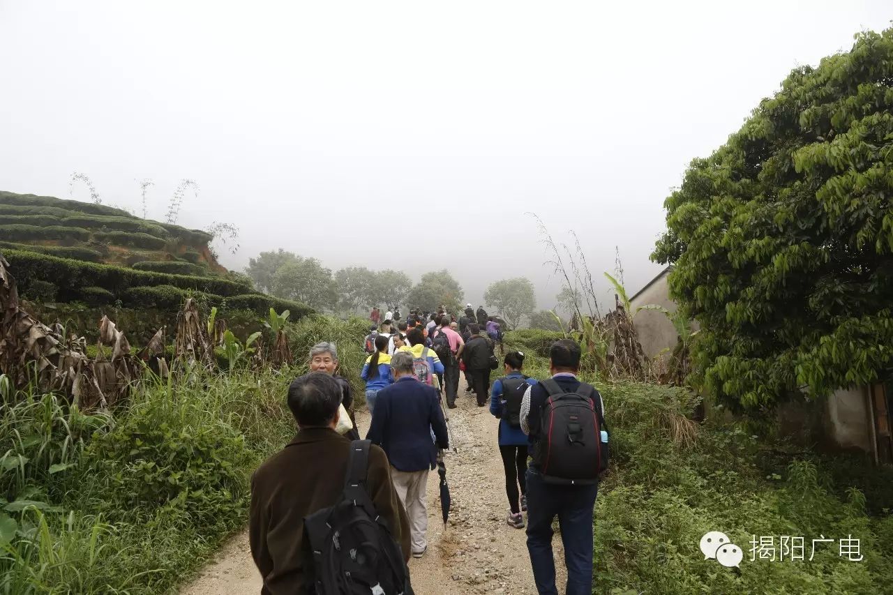 揭阳声屏网直播揭阳综合频道_揭阳声屏网_揭阳声屏网民生热线