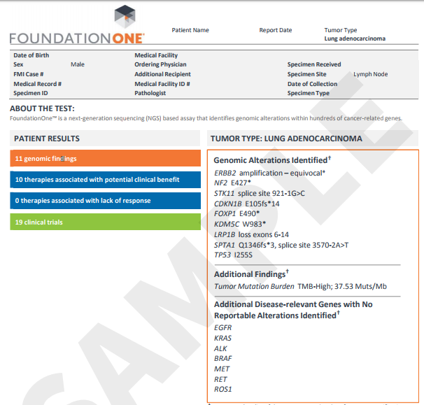 informatic_information可数吗_informational