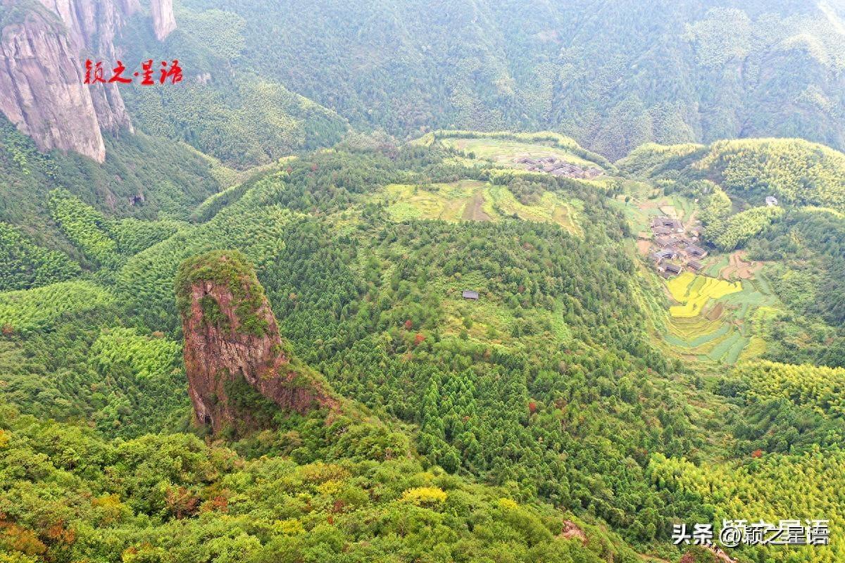 趋步是什么意思_一步一趋_趋步的拼音