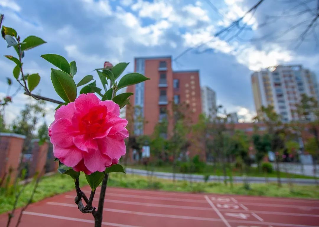 昆三中西山学校是初中还是高中_昆三中西山学校地址_昆三中西山学校