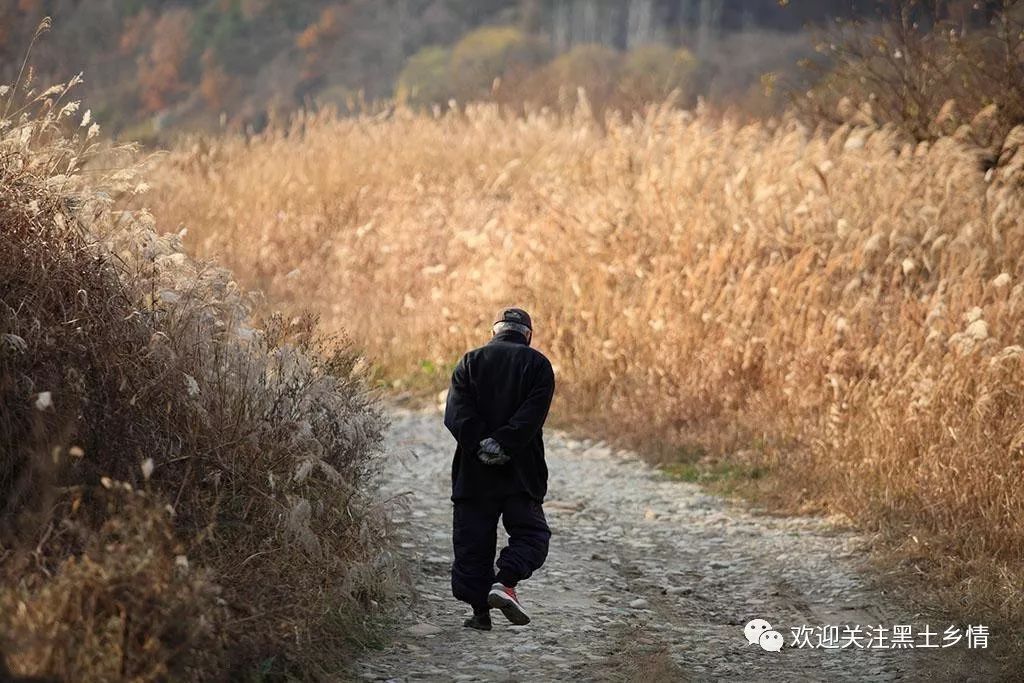 涓流成河的意思_涓滴成河_涓滴成河什么意思